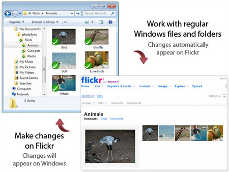 Tutorial para usar Flickr como Backup de nuestras fotografías