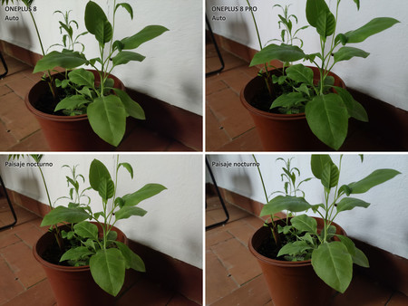 Oneplus 8 Vs Oneplus 8 Pro 13