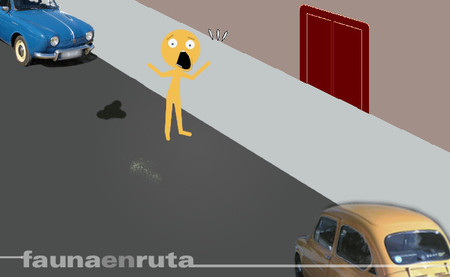 fauna en ruta: robo de coche