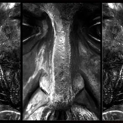 Foto 8 de 10 de la galería alma-de-cervantes en Xataka Foto