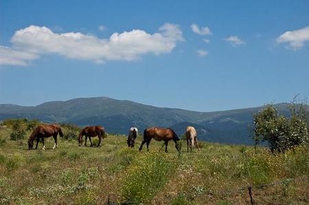Excursiones para niños por el Valle de la Fuenfría