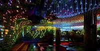 Greenhouse Club, una disco verde en Nueva York