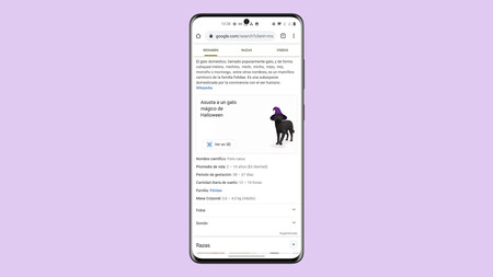 Google añade nuevos animales 3D por Halloween: gatos mágicos, perros salchicha y más