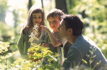¿Pronto el homeschooling será reconocido?