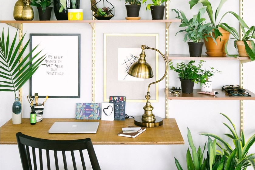 Estas nueve plantas son la tendencia en decoración que obsesionan a todo Pinterest este 2019