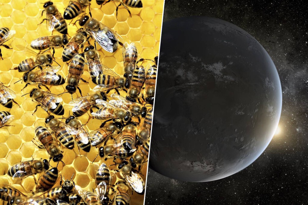 El plan para encontrar vida extraterrestre en 2040 pasa por un enjambre de naves espaciales trabajando en equipo 