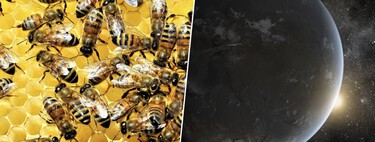 Muchas obreras y una abeja reina: así es el enjambre de telescopios con el que quieren buscar vida extraterrestre en 2040
