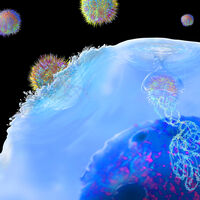 A IA encontrou o calcanhar de Aquiles dos vírus: atacar esta vulnerabilidade oculta interrompe a infecção na hora 