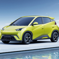 Adeus, kit de reparo: brasileiro cria gambiarra 'genial' para levar estepe no BYD Dolphin Mini 