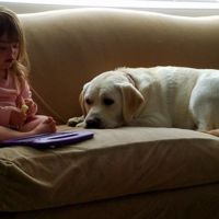 El perro de una niña diabética y con Síndrome de Down detectó una caída de sus niveles de azúcar a 8 km de distancia 