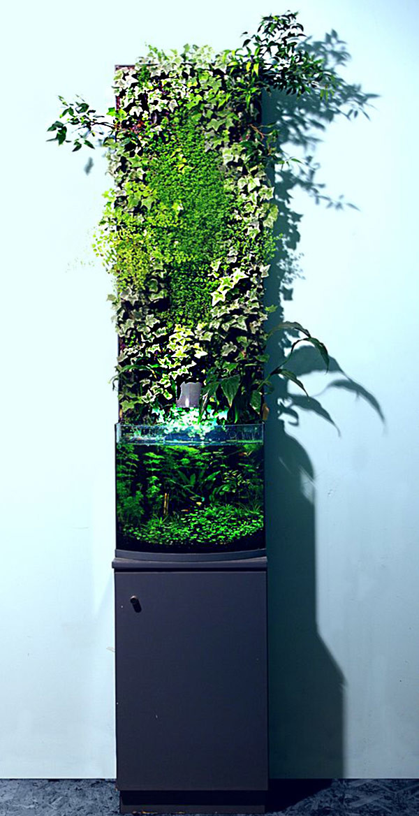 Los 17 acuarios más sorprendentes para instalar en casa