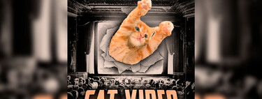Em 2016, um homem começou a editar filmes com vídeos de gatinhos; hoje, ele os exibe nos cinemas e está faturando uma fortuna 