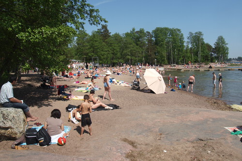 Finlandeses precisam conviver com cocô de ganso para aproveitar a praia / Imagem: JIP