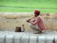 ¿Cual es la mejor época para viajar a India?