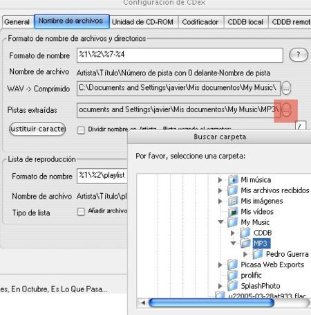 cdex10.jpg
