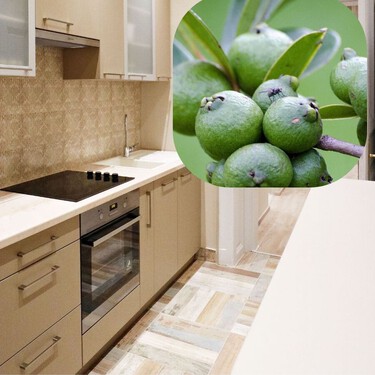 5 remedios naturales para ahuyentar hormigas, arañas y moscas: desde limpiar con agua y canela hasta usar hojas de laurel