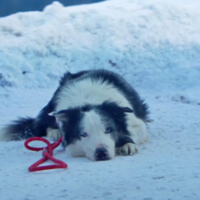 “A los 15 minutos ya sabía que estaba viendo una película formidable”: ve en streaming una de las obras maestras de los últimos años 