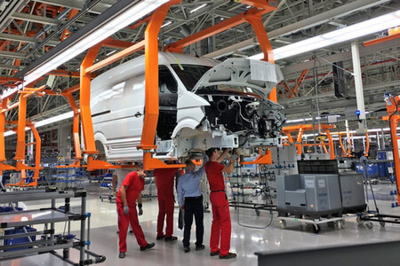 Vw Plantas 4