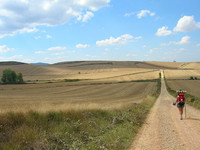 Compañeros de ruta CXXXVII 