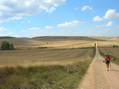 Compañeros de ruta CXXXVII