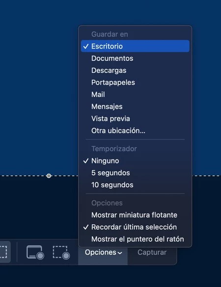 画面録画 Mac オプション