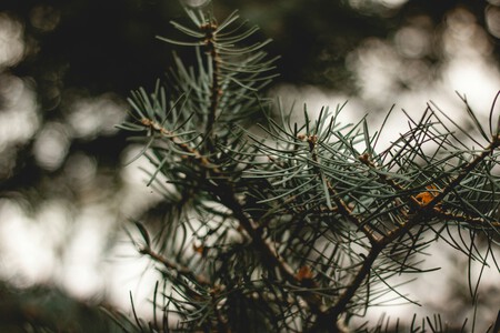 Elisabeth Arnold Mfqqlbzbwao Unsplash