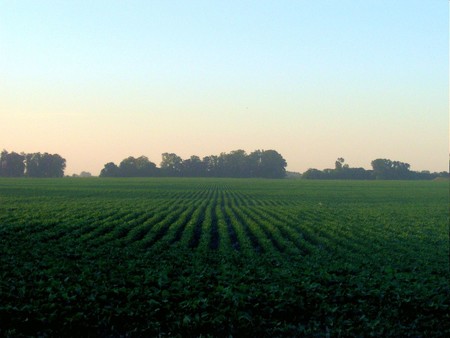 En 2030, por fin, acabaremos con la agricultura y la ganadería y tendremos comida más nutritiva y más sabrosa