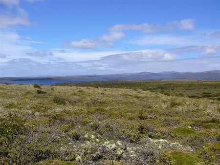 Auckland1