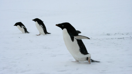 Linux sigue creciendo: Su Kernel implementará un millón de nuevas líneas de código
