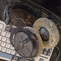 Los hongos de The Last of Us invadieron su ordenador, pero el motivo de que parte su equipo gaming terminase así no sólo es porque estuviera un mes fuera de su casa