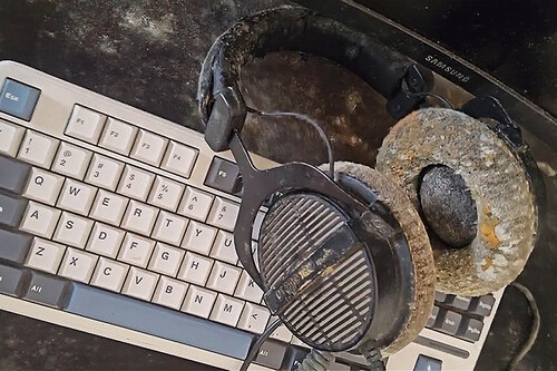 Portada Tlou Pc Con Hongos B