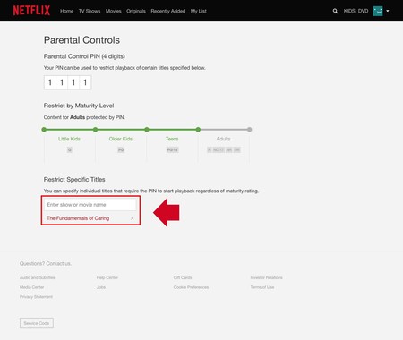 Netflix Control Mejorado Copia