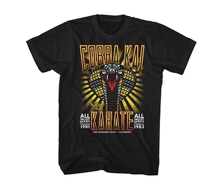 Dar cera, pulir cera: 19 camisetas para los fans de Karate Kid y Cobra Kai