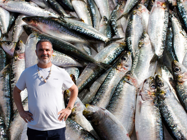 Sardinas Angel Leon