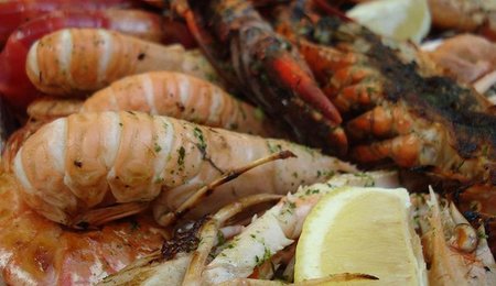 Consigue una mariscada gratis