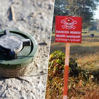 Polonia, Finlandia, Lituania, Letonia y Estonia son vecinos de Rusia. Así que han decidido rodearse con un arma del pasado