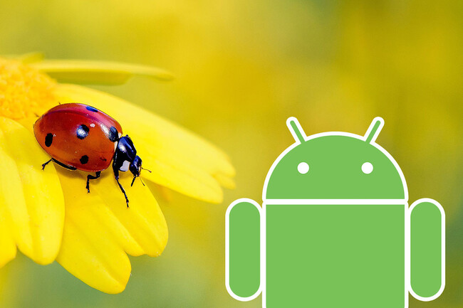 Bug