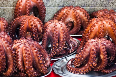 Pulpo Gallego