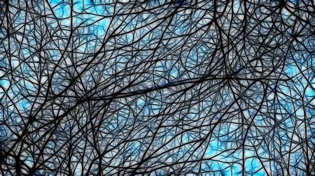 Neurons 3154919 960 720