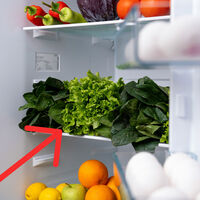 Qué temperatura poner en el refrigerador durante el clima frío. Es clave para que no pagues tanta luz