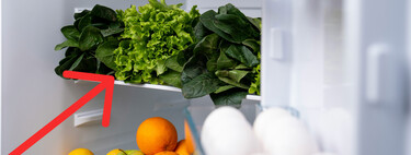 Qué temperatura poner en el refrigerador durante el clima frío. Es clave para que no pagues tanta luz