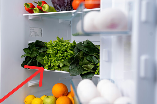 Qué temperatura poner en el refrigerador durante el clima frío. Es clave para que no pagues tanta luz