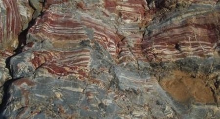 Se encuentran pistas del ser vivo más antiguo que ha habitado la Tierra