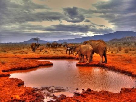 Hdr1 Kenya Copia 590x442