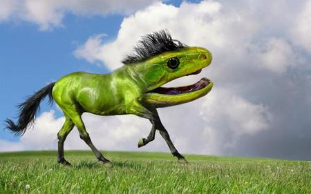 Animales fantásticos con un toque de Photoshop