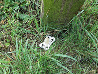 Ser papá: la regla de los cinco segundos (si se cae algo al suelo)