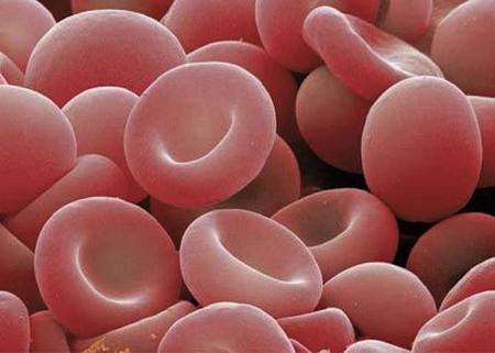 ¿Por qué la sangre tiene sabor metálico?
