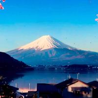 El estudio de Pokémon confirmado para el Xbox Developer Direct de enero: dos juegos muy esperados de 2026 también tendrán novedades 