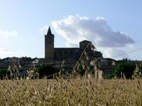 Viaje al centro de Mallorca: Sineu