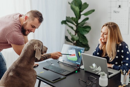 perro-oficina-trabajo